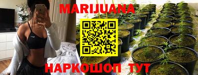 PSILOCYBIN Владимир