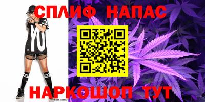 PSILOCYBIN Владимир