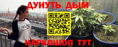 шишки Владивосток
