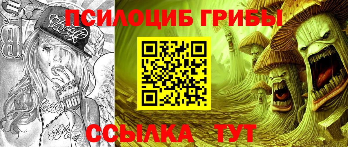 Сибай  Псилоцибиновые грибы Magic Shrooms  Вход с VPN 